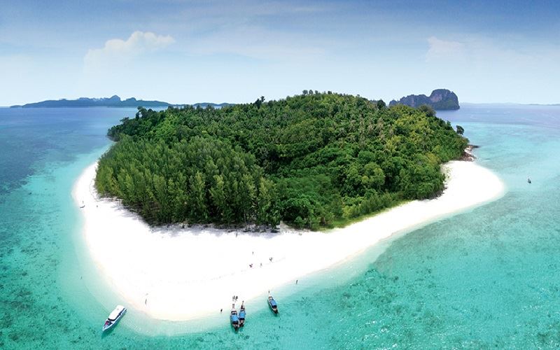 bamboo island