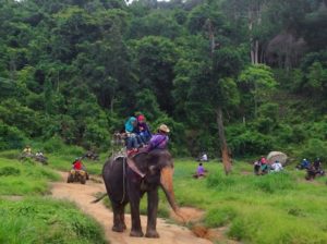 Krabi elephant ride