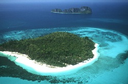 bamboo island