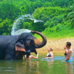 khao sok tours