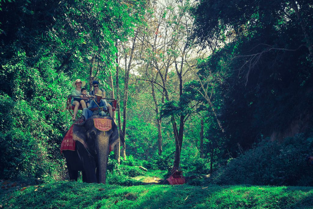 phuket elephant trekking