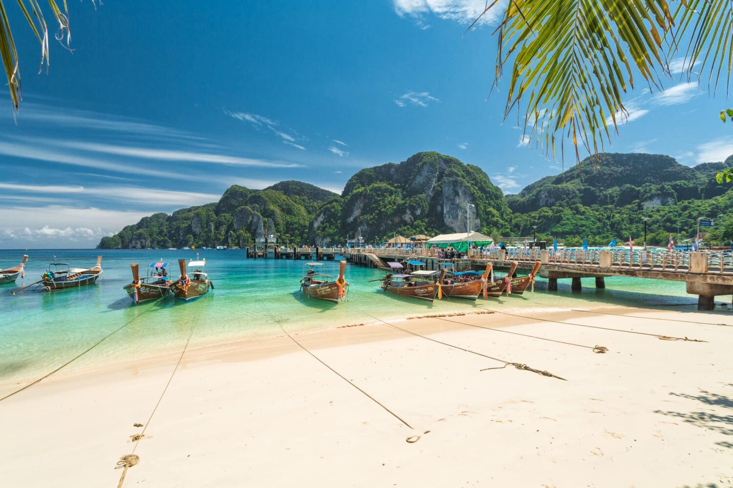 Phi Phi island tour by speedboat