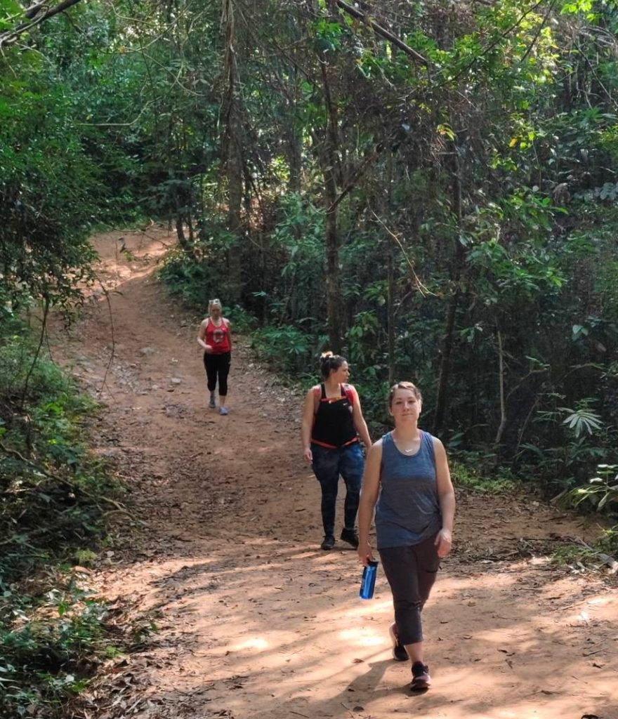Best Time to Visit Khao Sok National Park